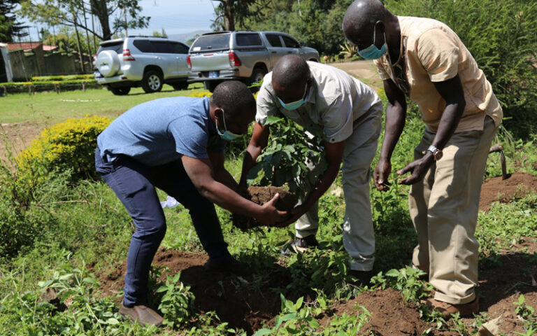 Ministry of Environment and Forestry